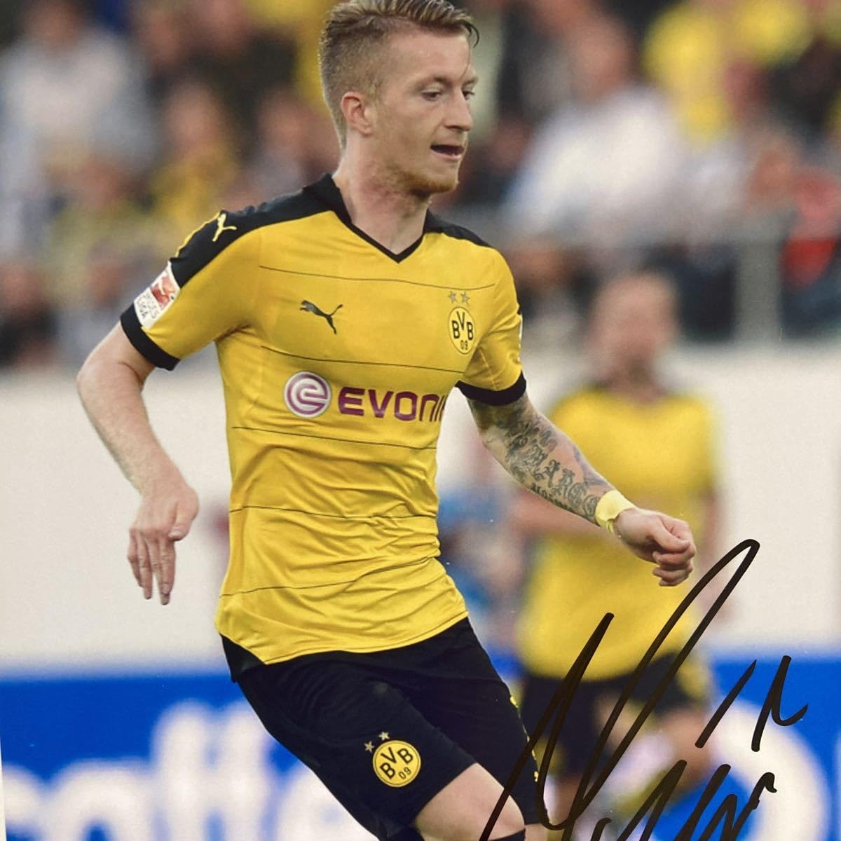 Amazon.co.jp: マルコロイス直筆サイン入り超大型写真…Marco